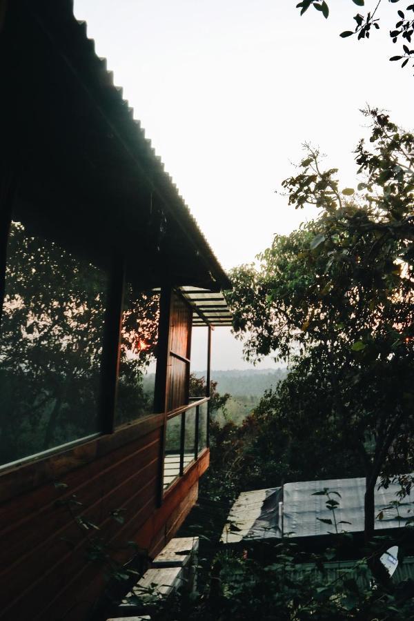 Amazonika Boutique Resort Arpora Zewnętrze zdjęcie