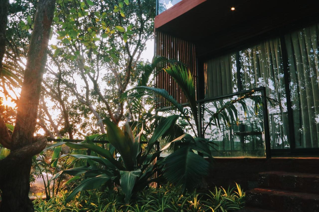 Amazonika Boutique Resort Arpora Zewnętrze zdjęcie